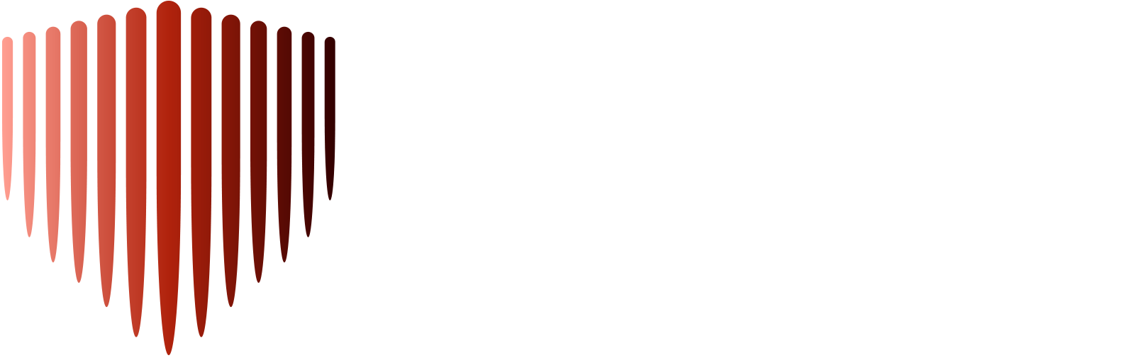 SoftStream Shield